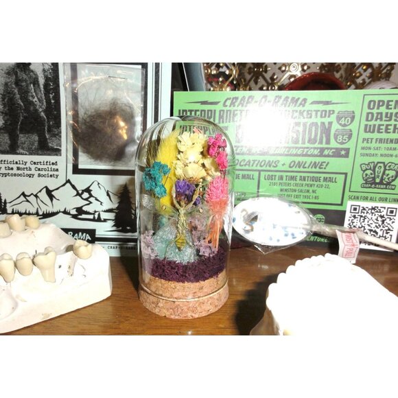 Flower Mantis Crystal & Flowers Oddity Jar insect taxidermy curiosity dome goth - Picture 8 of 13